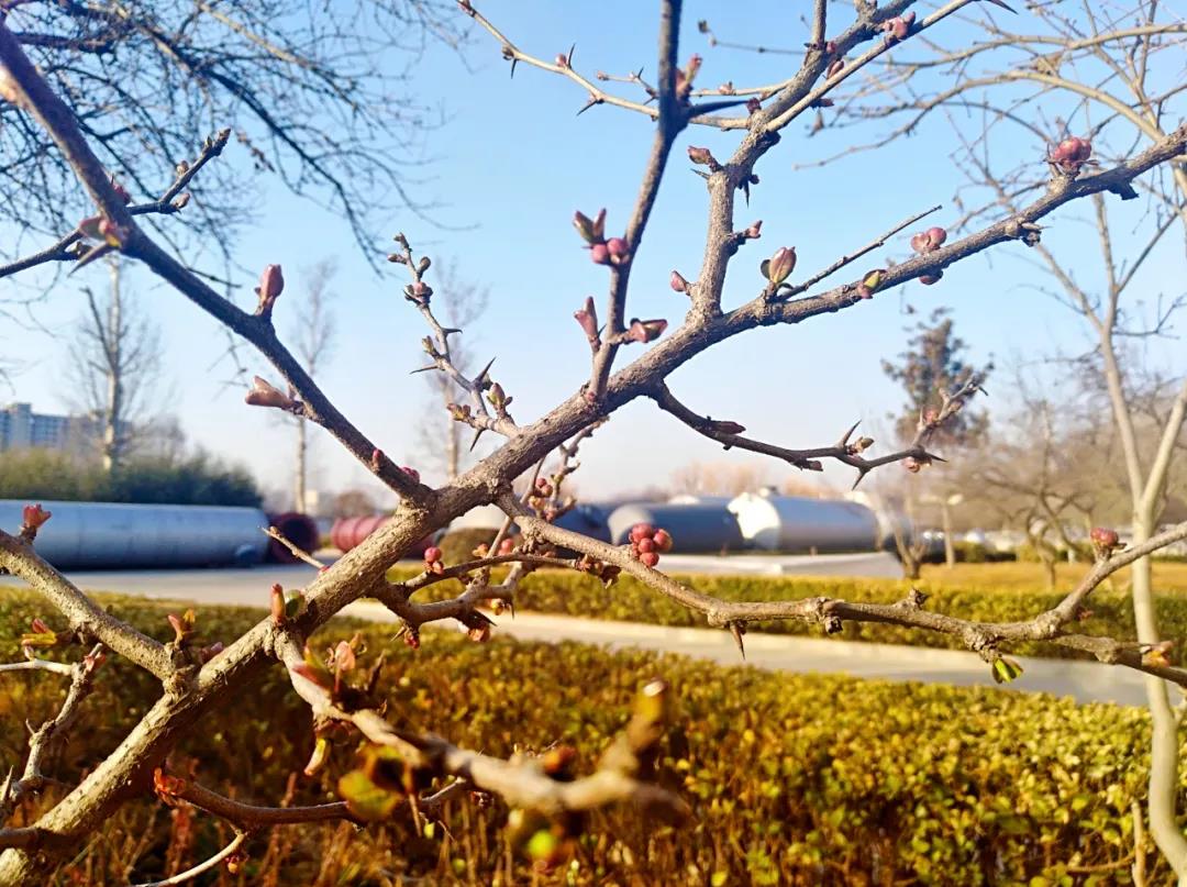 bwin·必赢(中国)唯一官方网站