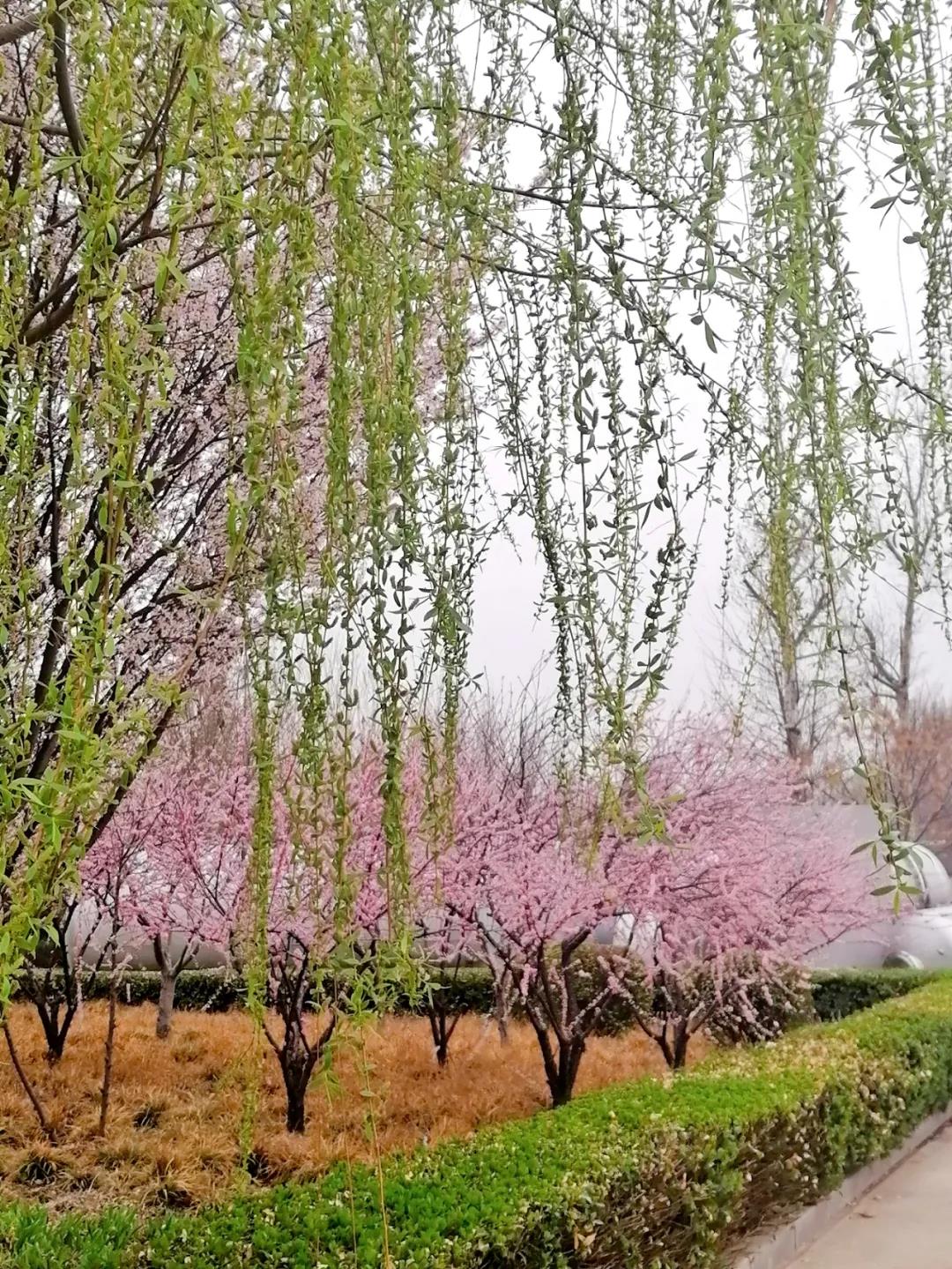 bwin·必赢(中国)唯一官方网站